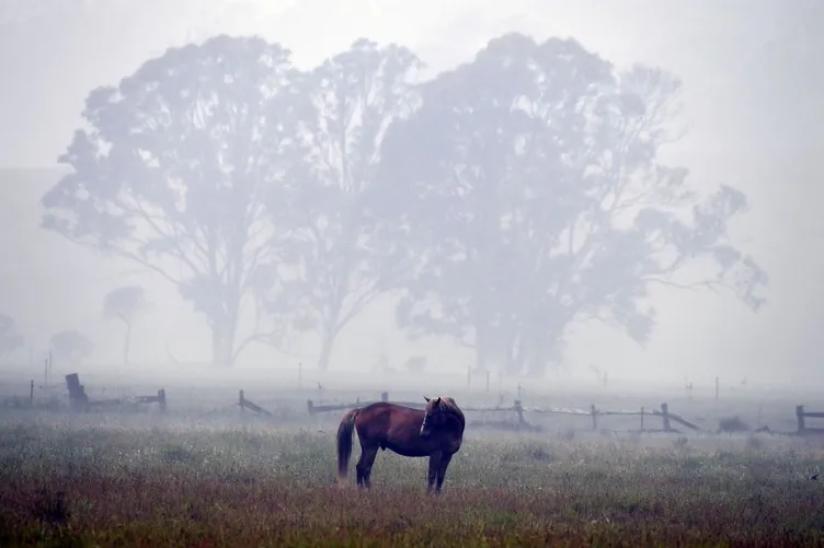 Avustralya yanıyor! NASA'dan korkutan görüntü...
