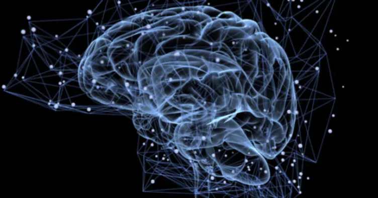 Nöroloji hangi hastalıklara bakar?