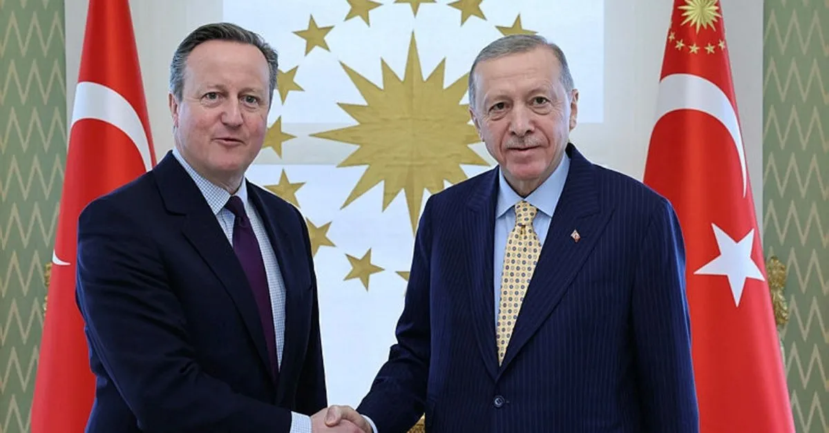 Başkan Erdoğan, İngiltere Dışişleri Bakanı Cameron'u kabul etti