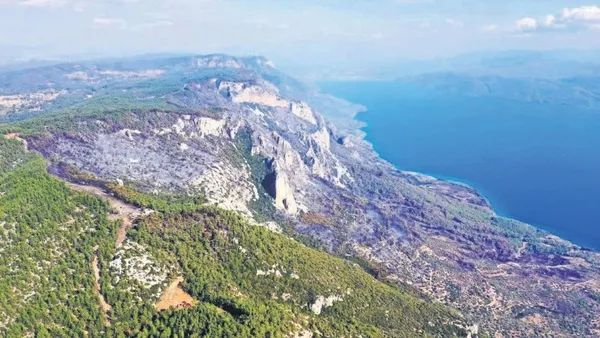 yanginin-izleri-siliniyor-1774554893518.jpeg