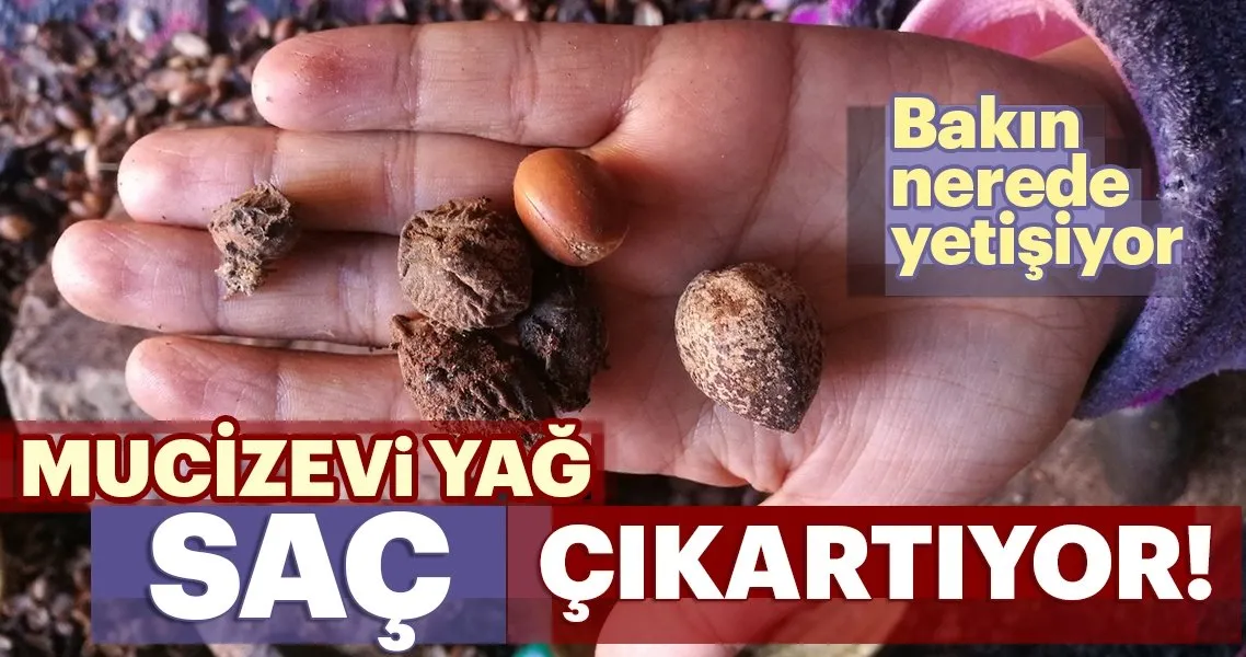 Bu Bitkinin Yagi Sac Cikartiyor Kadin Haberleri