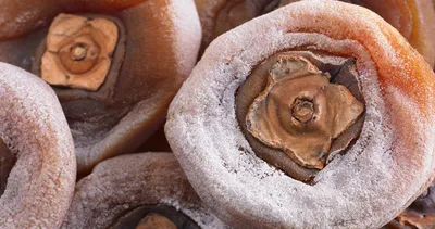 Kurutup tüketene hastalık uğramıyor! Hem bağışıklığın hem de bağırsakların şifası…