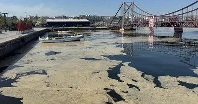 Bandırma ve Gönen sahillerinde müsilaj yüzeye çıktı #balikesir