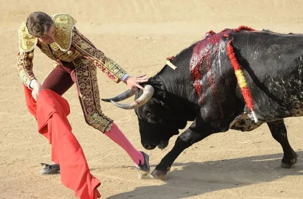 Madrid'de Boğa Güreşi