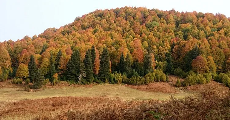 Küre Dağları Milli Parkı’nda sonbahar güzelliği