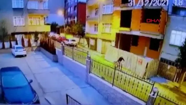 SON DAKİKA: İstanbul'da çocukları taciz eden bisikletli sapığın görüntüleri ortaya çıktı!