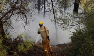 Muğla’daki yangını söndürme çalışması sürüyor