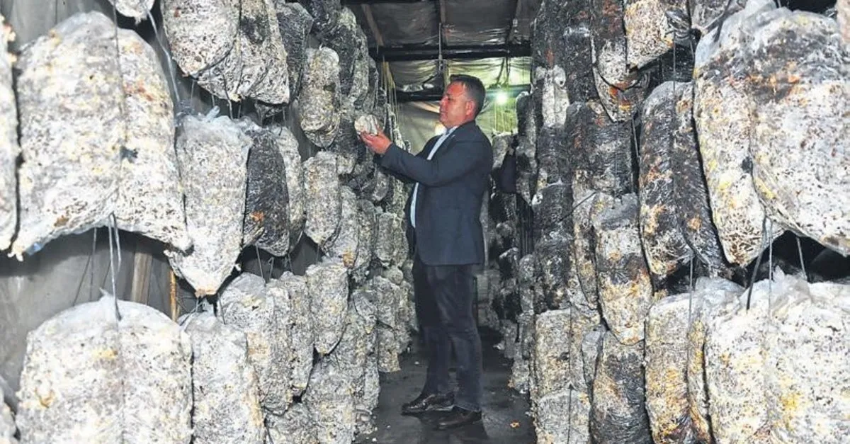Hobi olarak başladı taleplere yetişemiyor