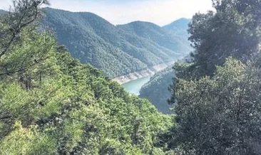 Terapi gibi yürüyüş yolu