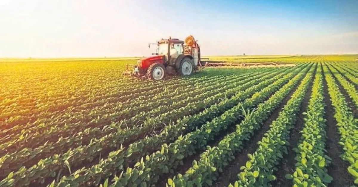 2021 Ciftcilere Sut Destegi Mazot Gubre Destegi Odemeleri Yatti Mi Ne Zaman Yatacak Ciftci Destek Odemeleri Sorgulama Son Dakika Yasam Haberleri