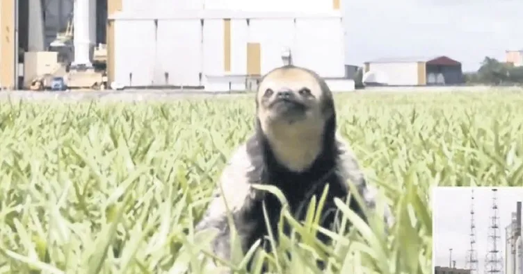 Jüpiter görevinin yıldızı