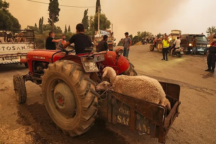 SON DAKİKA… İzmir’deki orman yangınında 3. gün! Ekiplerin cansiperane mücadelesi sürüyor: Kahreden görüntüler...