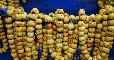 Her mevsim evinizde bulunması gereken 6 şifalı besin