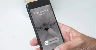 Signal ile şifrelenmiş video görüşmeleri!