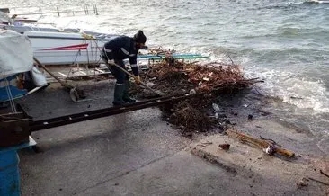 Lodosun vurduğu sahillerden 100 kamyon çöp çıktı #kocaeli Lodosun vurduğu sahillerden 100 kamyon çöp çıktı #kocaeli