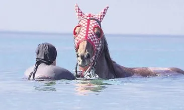 Milyonluk atlar yarışlara denizde hazırlanıyor