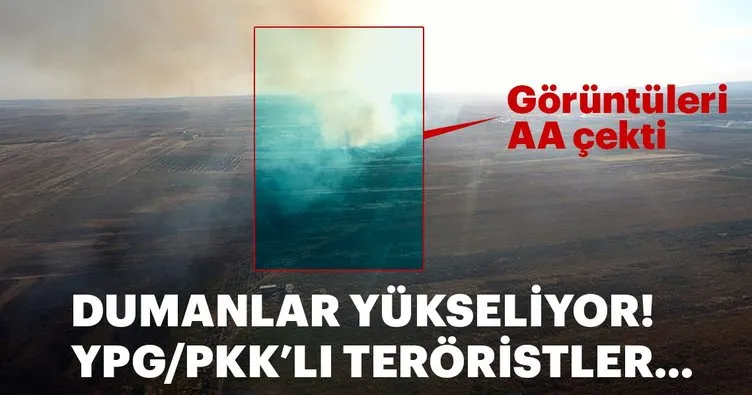YPG/PKK, Tel Rıfatlıların ev ve arazilerini yakıyor