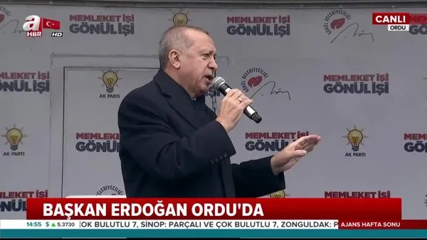 Cumhurbaşkanı Erdoğan'dan Ordu'da önemli açıklamalar