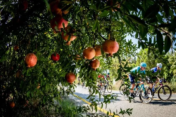 marmaris-yalikavak-etabini-nico-denz-kazandi-1697132205313.jpg