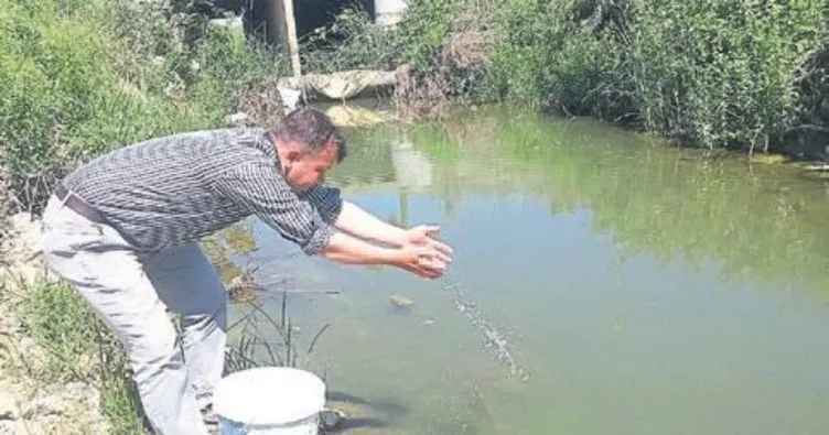 Sivrisineklerle balıklı mücadele başlatıldı