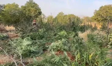 Bakan Yerlikaya açıkladı! Diyarbakır'da zehir tacirlerine İHA operasyonu: 7 gözaltı #diyarbakir