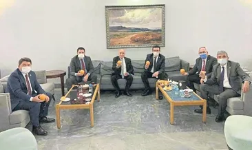 Mecliste portakal tanıtımı