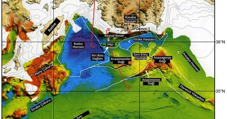 Finike Denizaltı Dağları dünya tanıtıldı! Uzman isim 6 türün tespit edildiğini açıkladı!