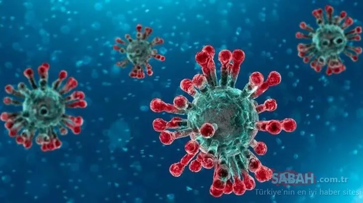 Dünya bu son dakika haberini konuşuyor! Corona virüse karşı suni virüs geliştirildi