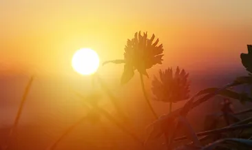 Kış güneşine dikkat!