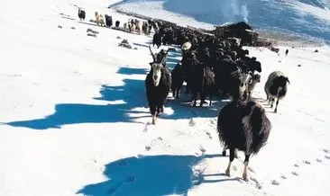 20 santimlik kar sürprizi