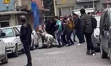 Beslediği pitbullu kavga ettiği kişilerin üstüne saldı! Dehşet anlarının görüntüleri ortaya çıktı! #malatya Beslediği pitbullu kavga ettiği kişilerin üstüne saldı! Dehşet anlarının görüntüleri ortaya çıktı! #malatya