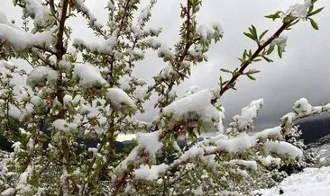 Antalya’da kar kalınlığı 20 santime ulaştı #antalya