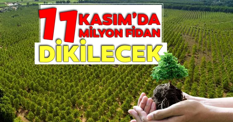 11 Kasım’da 11 milyon fidan dikilecek