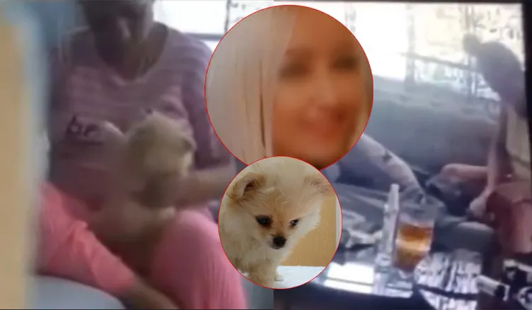 Eski sevgili görüntüleri izlediğinde şoka girdi: 4 köpeğe kan donduran işkence!