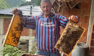 Anzer Balına Yomralı arıcılar rakip çıktı #trabzon