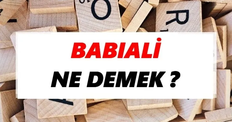 babiali ne demek tdk ya gore babiali sozluk anlami nedir tdk anlami haberleri