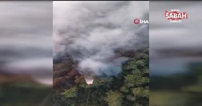Turizm merkezi Kemer’deki orman yangınına havadan müdahale başladı | Video