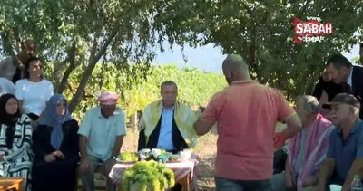 Cumhurbaşkanı Erdoğan üzüm hasadı yaptı | Video