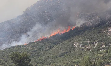 Kaş’ta orman yangını!