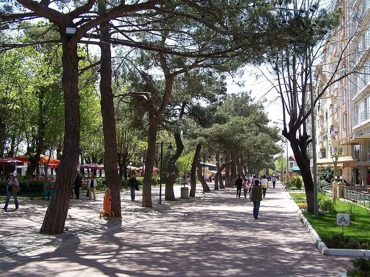 Türkiye'nin en sağlıklı şehri açıklandı! Zirvedeki sürpriz il herkesi şaşırttı...