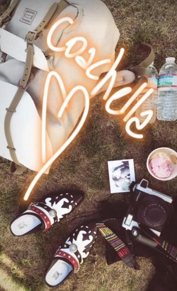 Coachella'ya Türk ünlüler akın etti