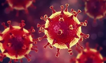 ABD’de yaşayan Türk doktordan kritik koronavirüs uyarısı