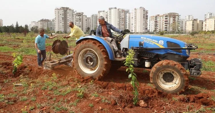 Tarımda yeni ekonomik sulama yöntemi