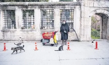 Kedilerin Nurhan Teyze’si #istanbul