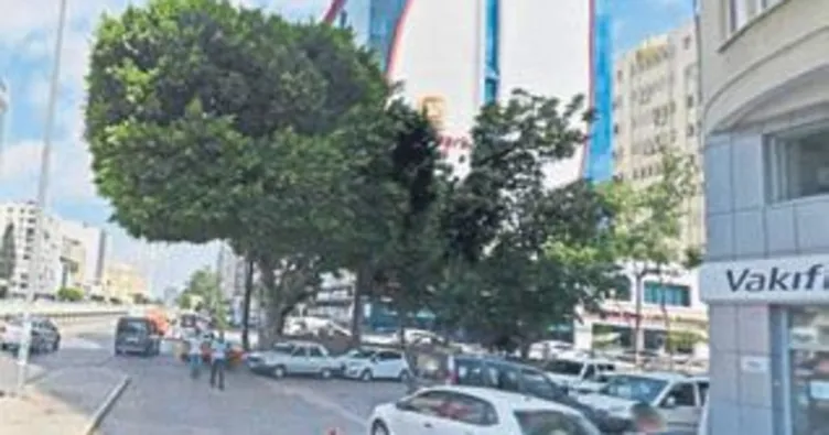 Melih ABİ: Orman yakmakla ağaç kesmek arasında ne fark var?