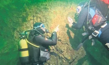 Av değil yaşam alanı