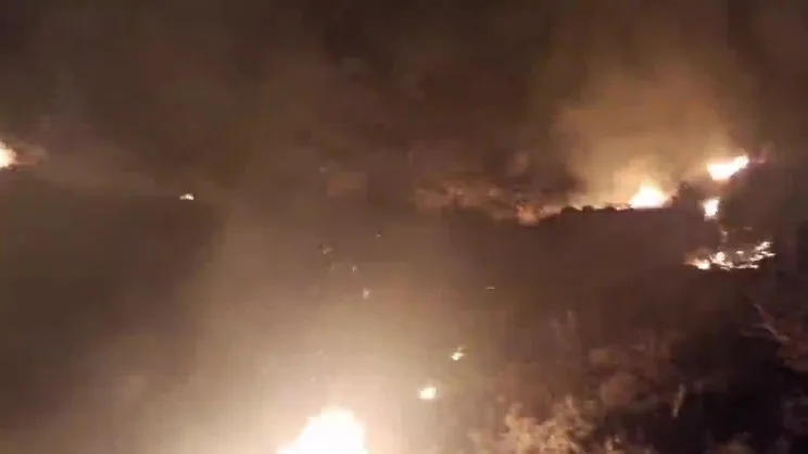 Mersin Erdemli’de orman yangını