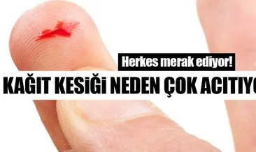 Ruyada Kagit Gormek Ne Anlama Gelir Haberleri Son Dakika Ruyada Kagit Gormek Ne Anlama Gelir Gelismeleri