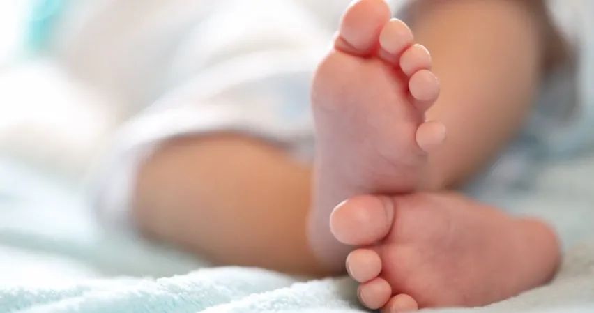 bebek rezca vercel app