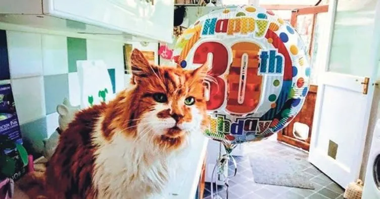 En yaşlı kedi 30 yaşını kutladı